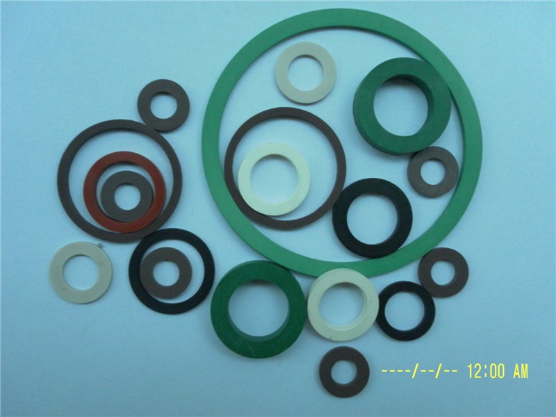 Washer Gasket